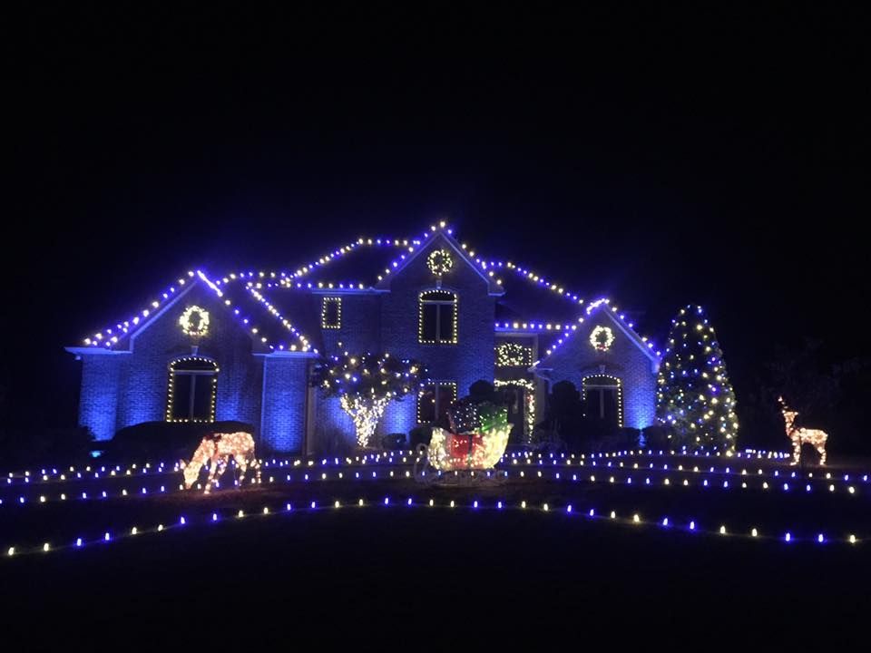 What and bluechristmas lights design